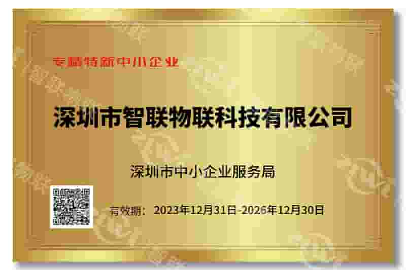 亚游国际(中国)专精特新证书